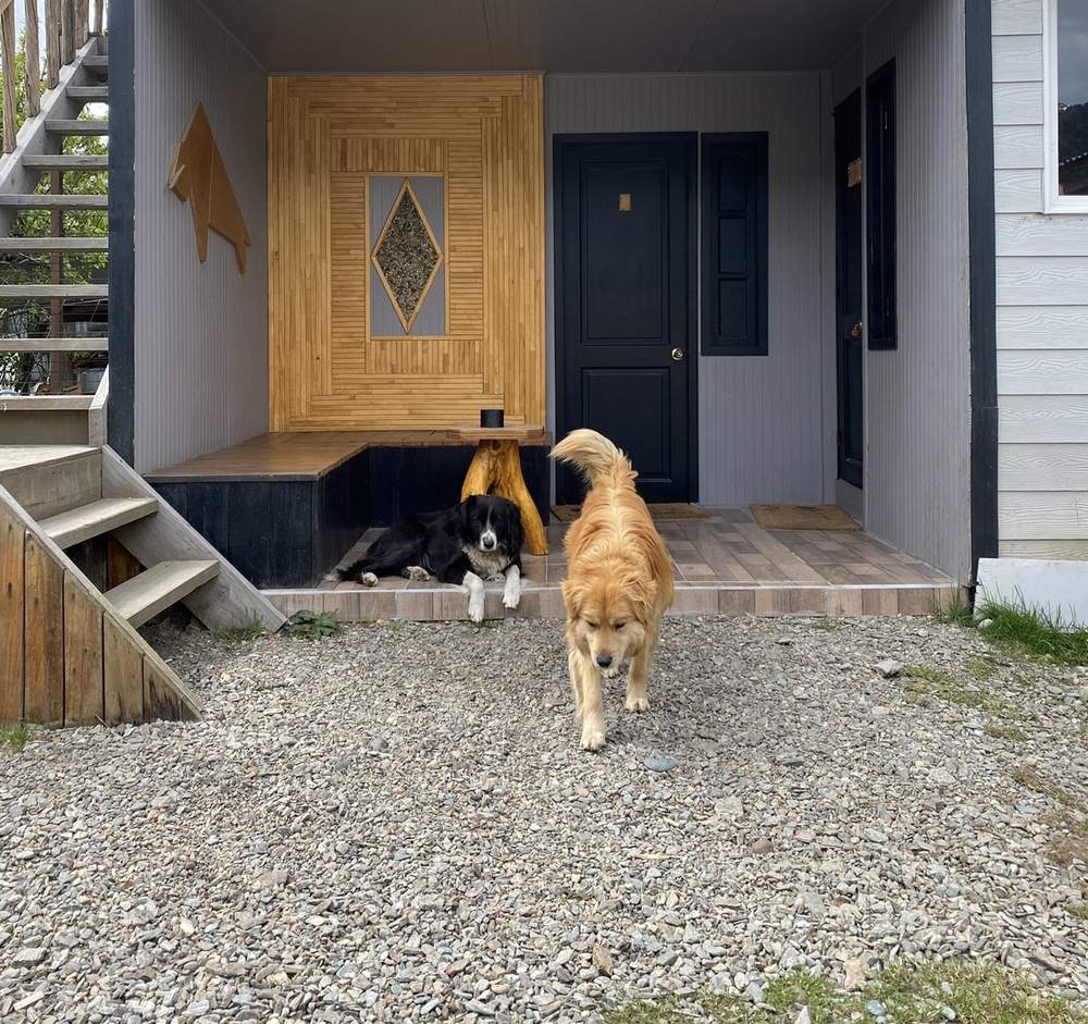 Terraza con perros del hostal